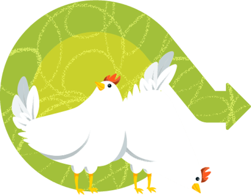 ไก่ ไก่