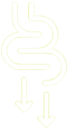 Gut icon Gut icon